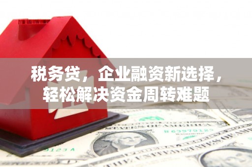西双版纳税务贷，企业融资新选择，轻松解决资金周转难题
