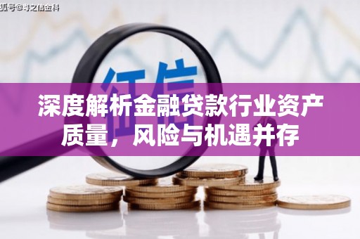 翼城深度解析金融贷款行业资产质量，风险与机遇并存