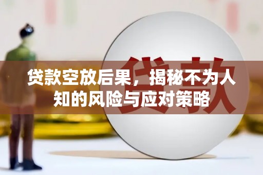 新丰贷款空放后果，揭秘不为人知的风险与应对策略