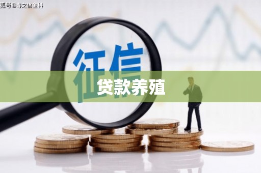 离石贷款养殖
