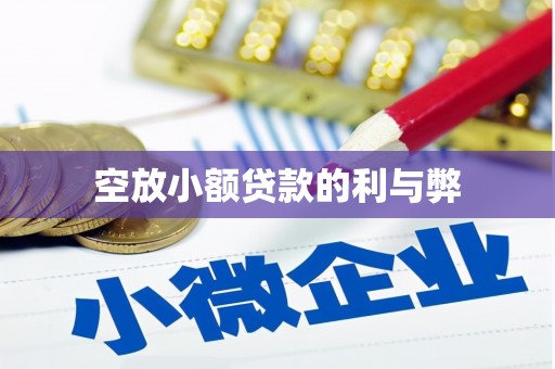 迪庆空放小额贷款的利与弊