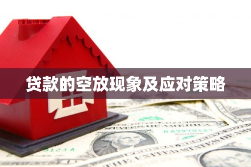 柳东贷款的空放现象及应对策略